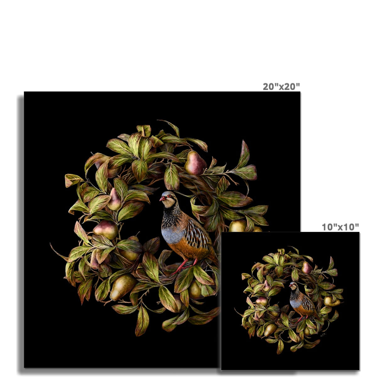 Flora & Fauna - A Partridge in a Pear Tree