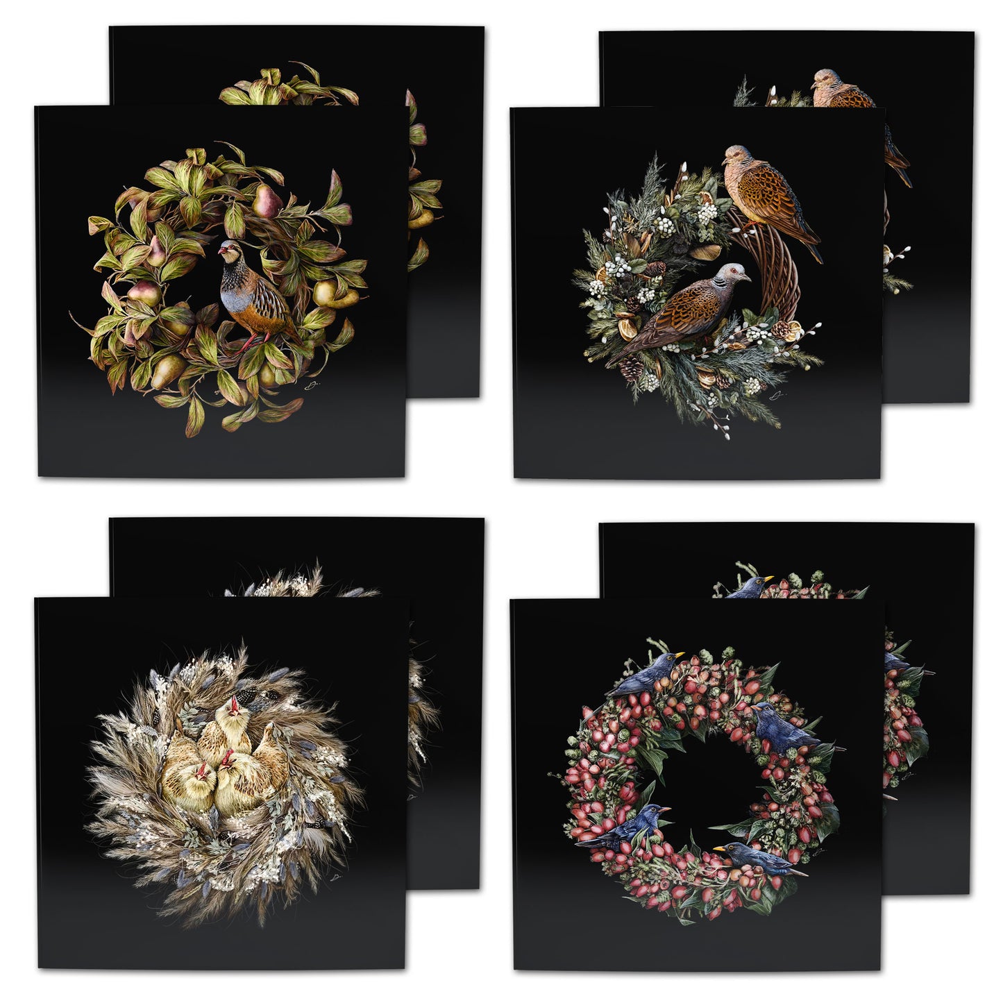 Flora & Fauna Greeting Cards (pack of 8)