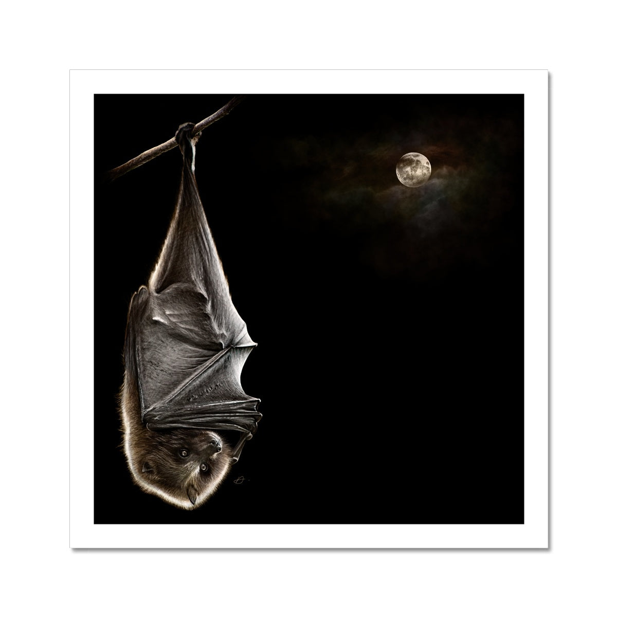 Moonlight Bat - Danny Branscombe