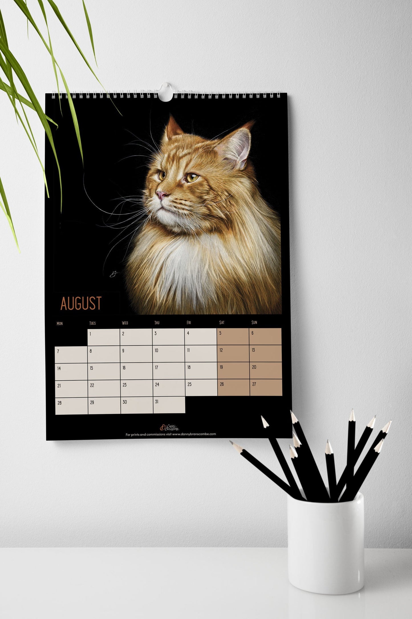 Cat Calendar 2023 - Danny Branscombe