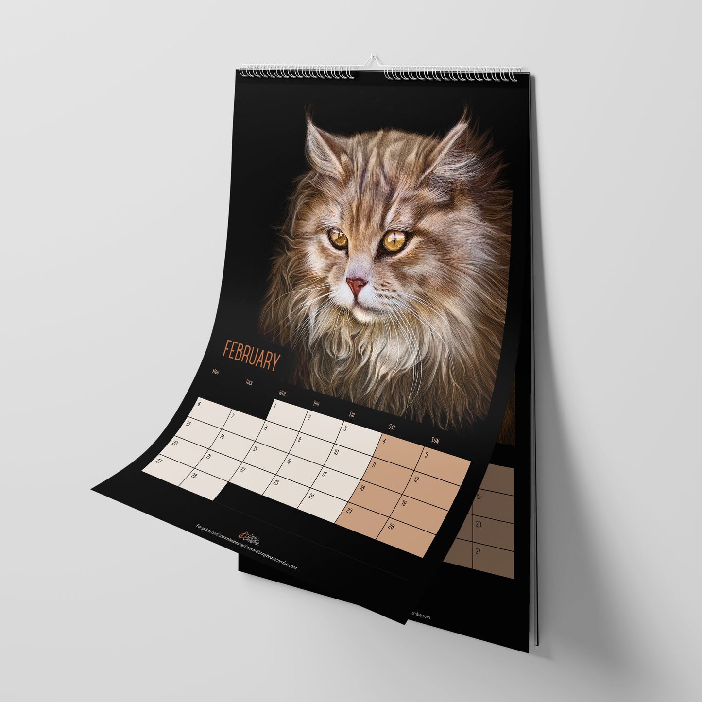 Cat Calendar 2023 - Danny Branscombe