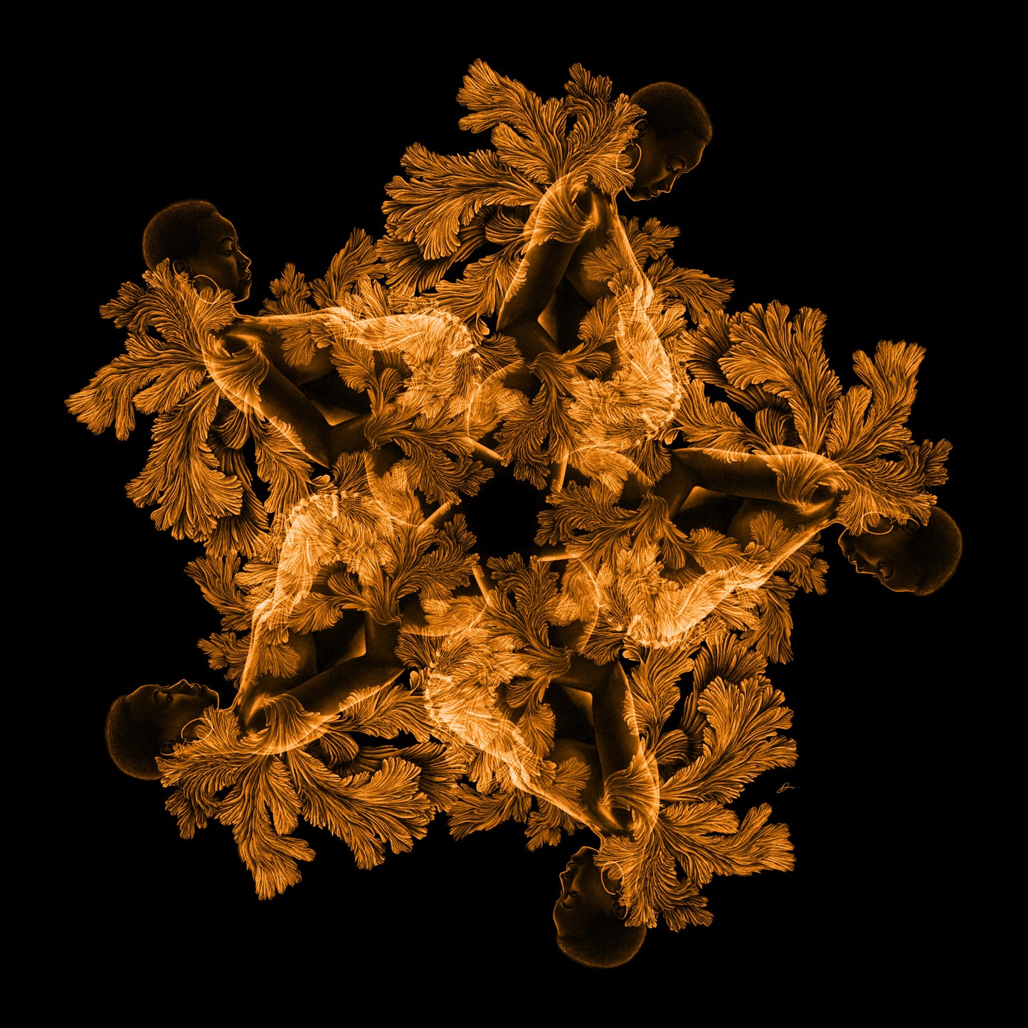 Goldmother - Danny Branscombe