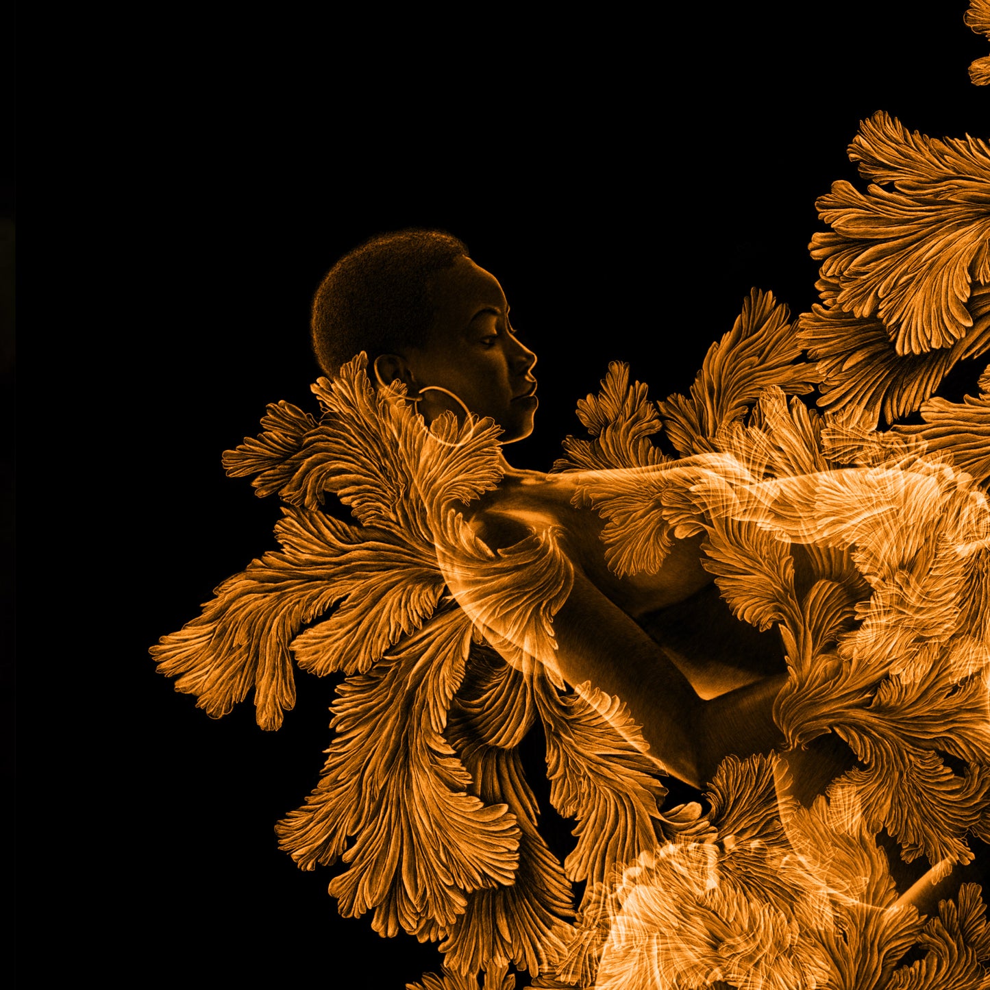 Goldmother - Danny Branscombe