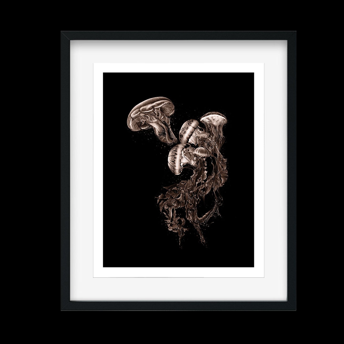 Jellyfish