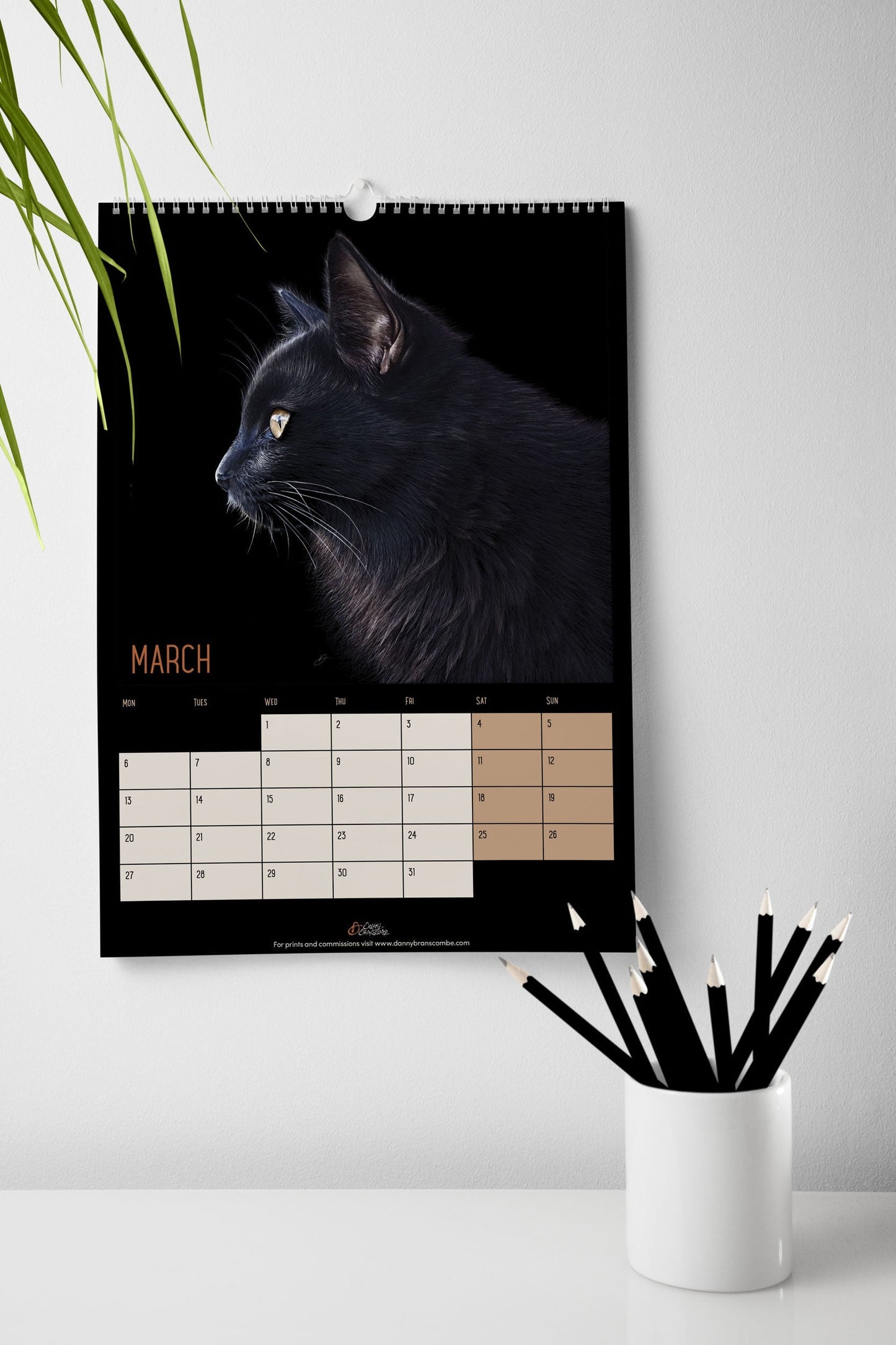 Cat Calendar 2023 - Danny Branscombe