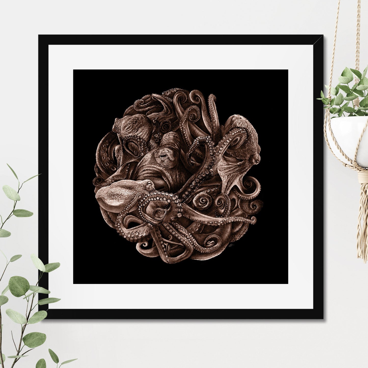 Octopus Planet - Danny Branscombe