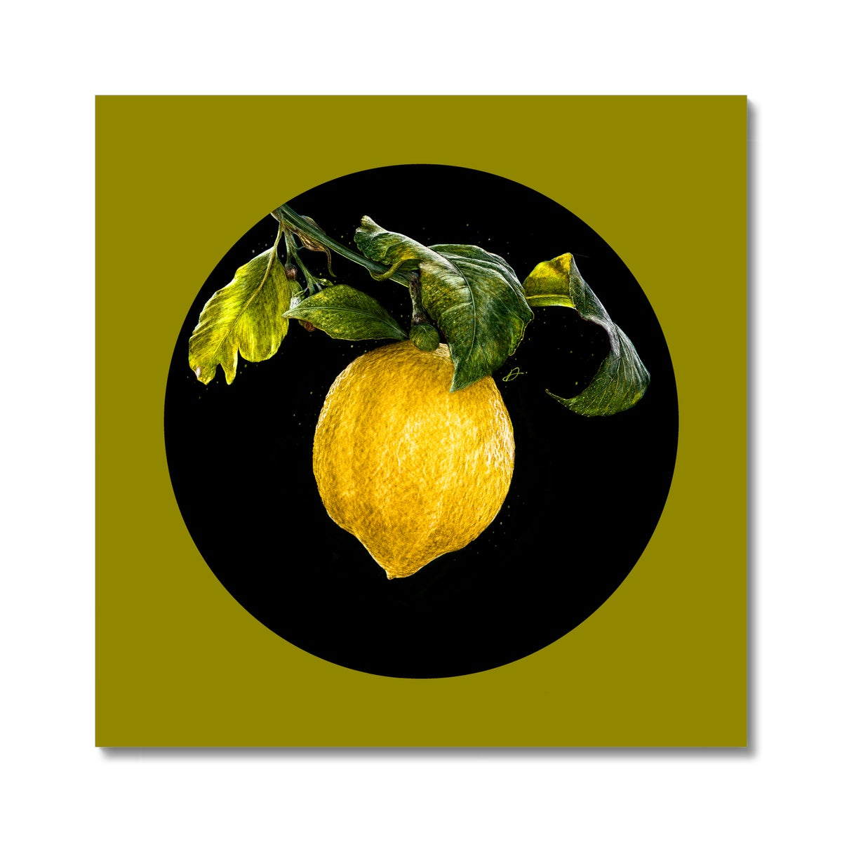 March for Joy 11 / Lemon Tree
