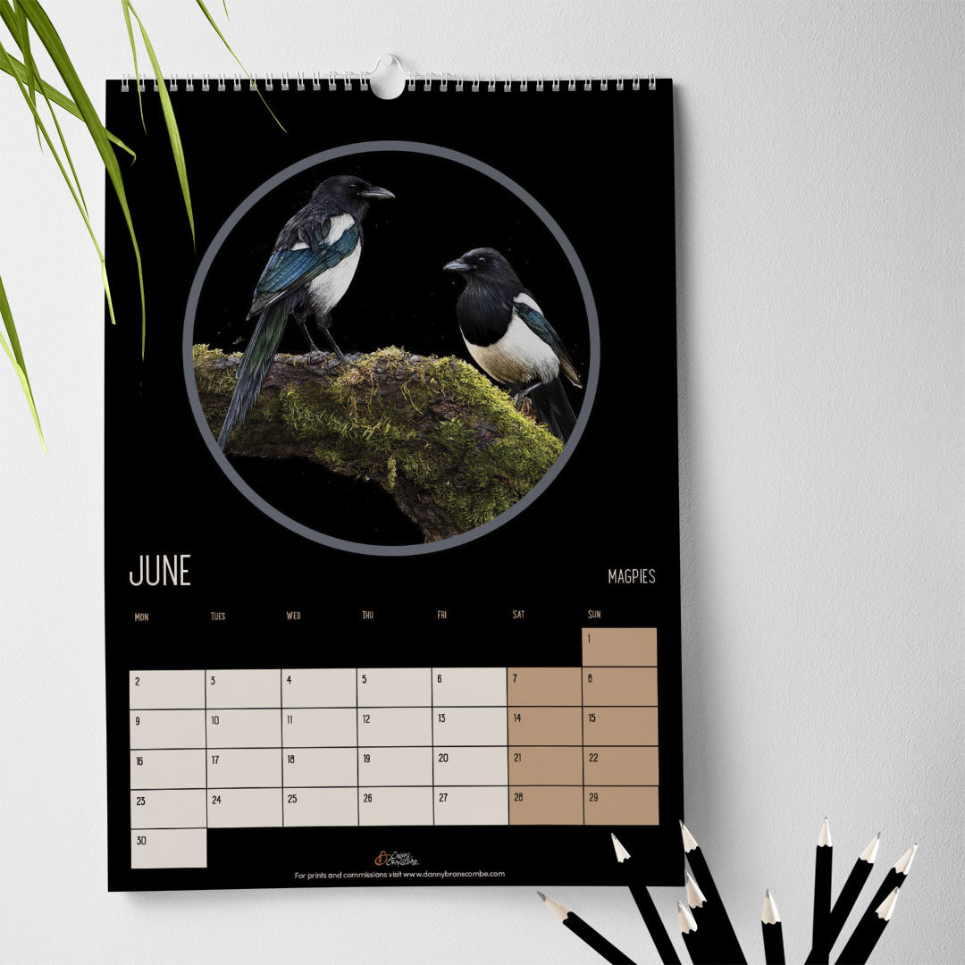 Bird Calendar 2025