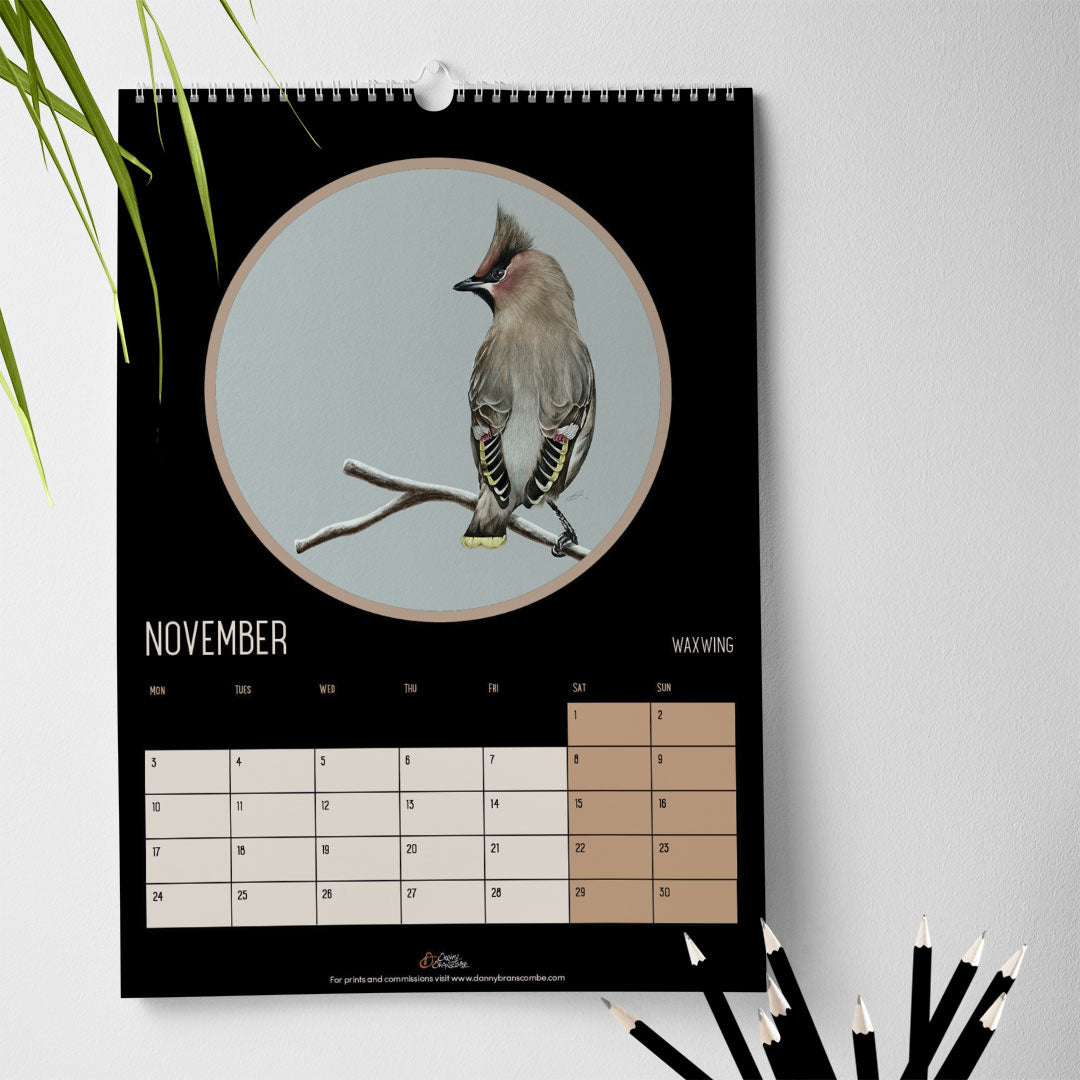 Bird Calendar 2025