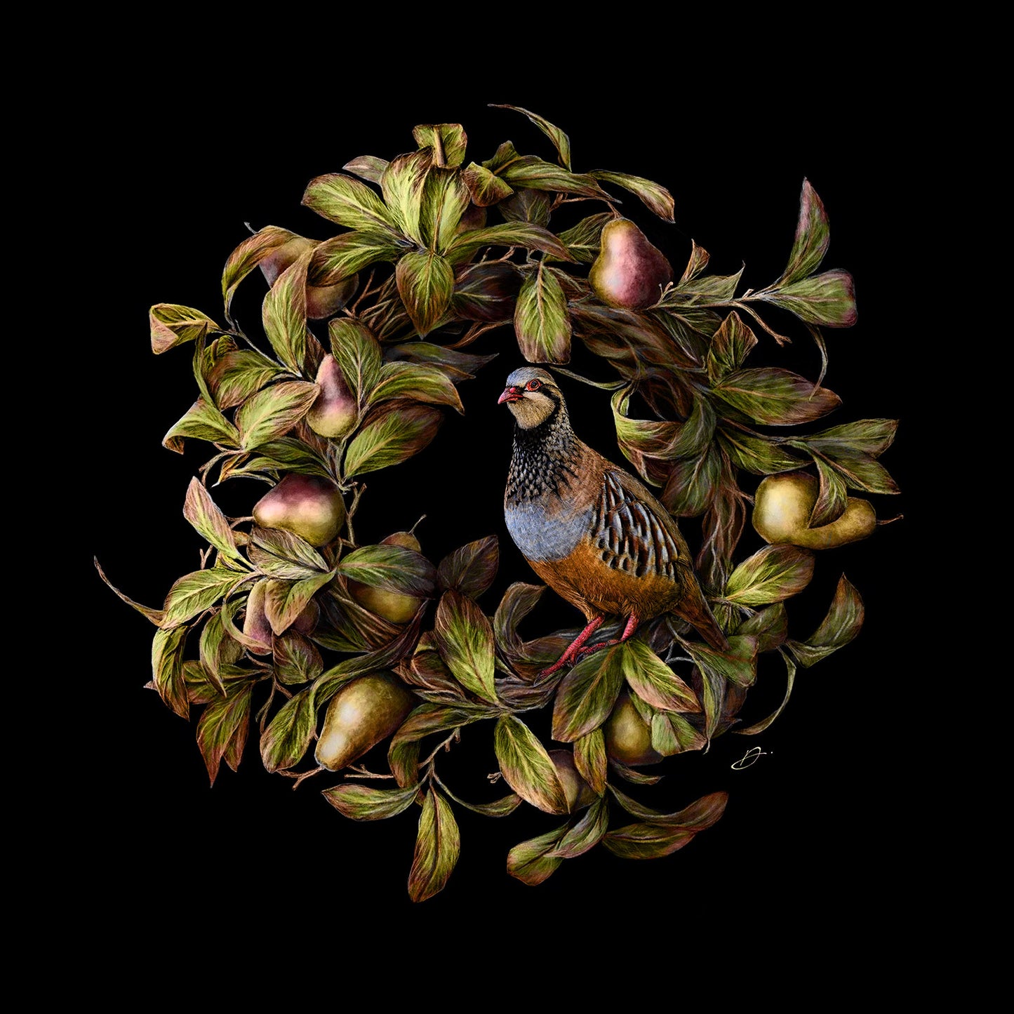 Flora & Fauna - A Partridge in a Pear Tree