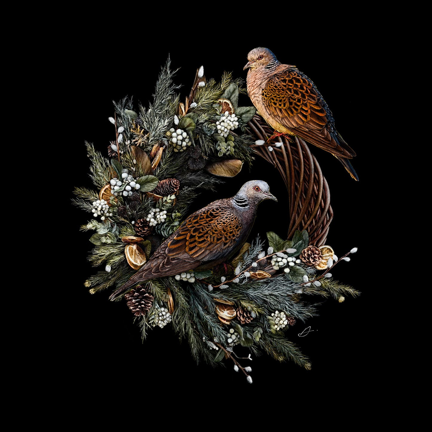 Flora & Fauna - Two Turtle Doves