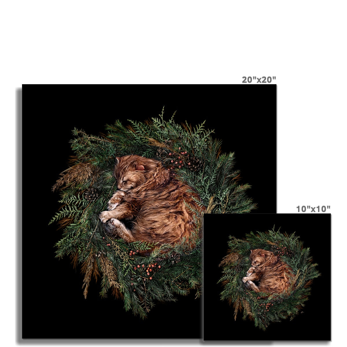 Flora & Fauna - Pine Cones & Spruce