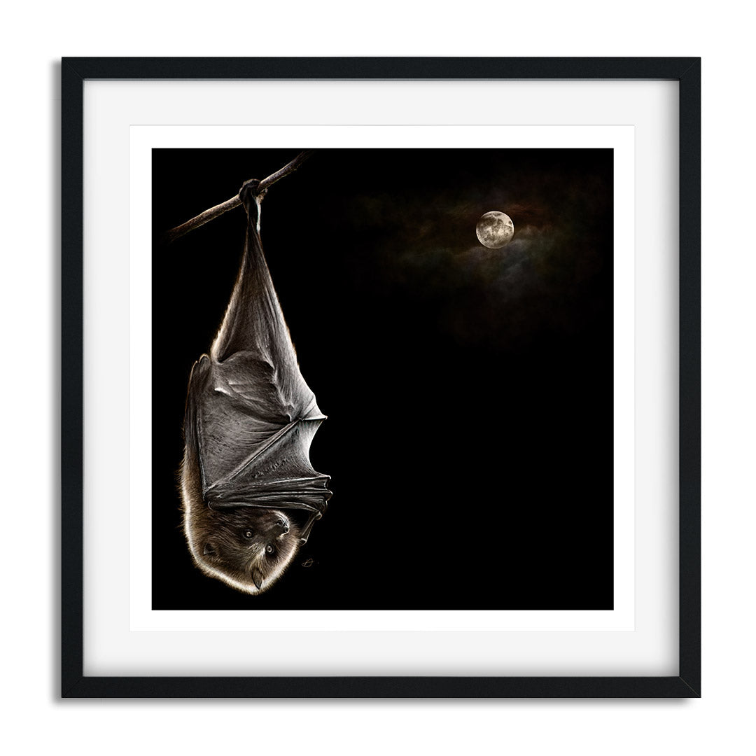 Moonlight Bat - Danny Branscombe