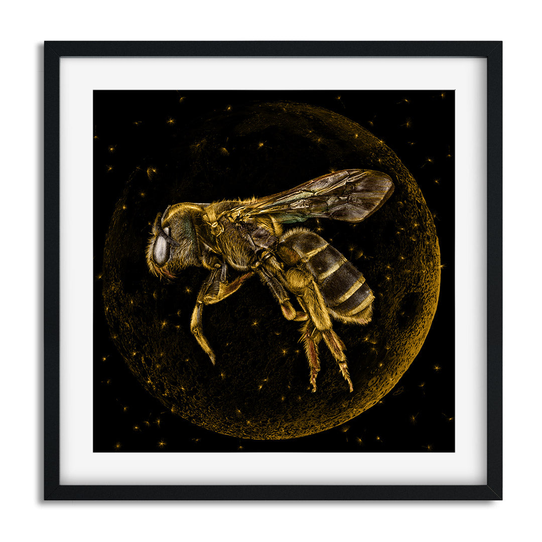 Golden Moon Bee - Danny Branscombe