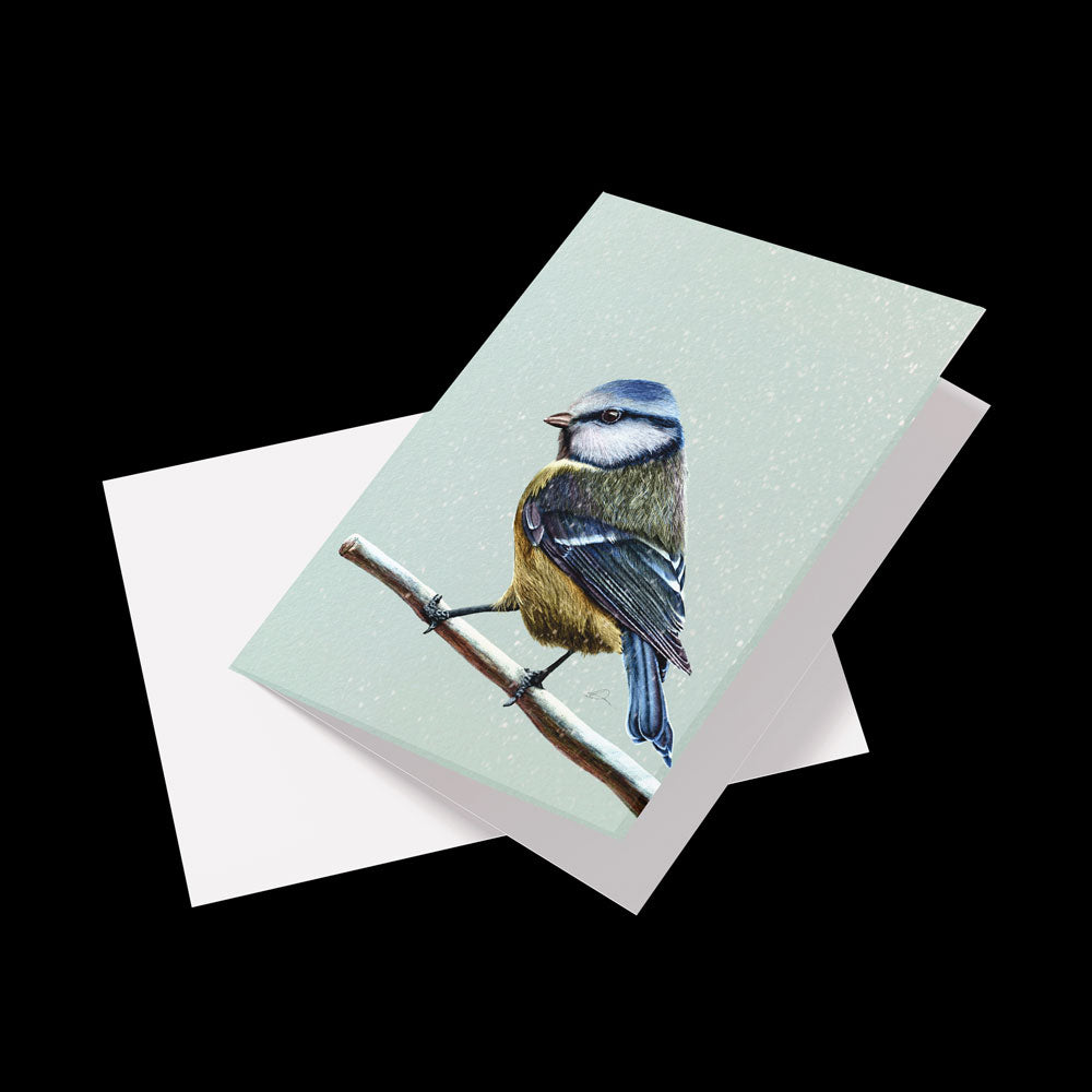 Winter Birds Greeting Cards (pack of 6 ) - Danny Branscombe