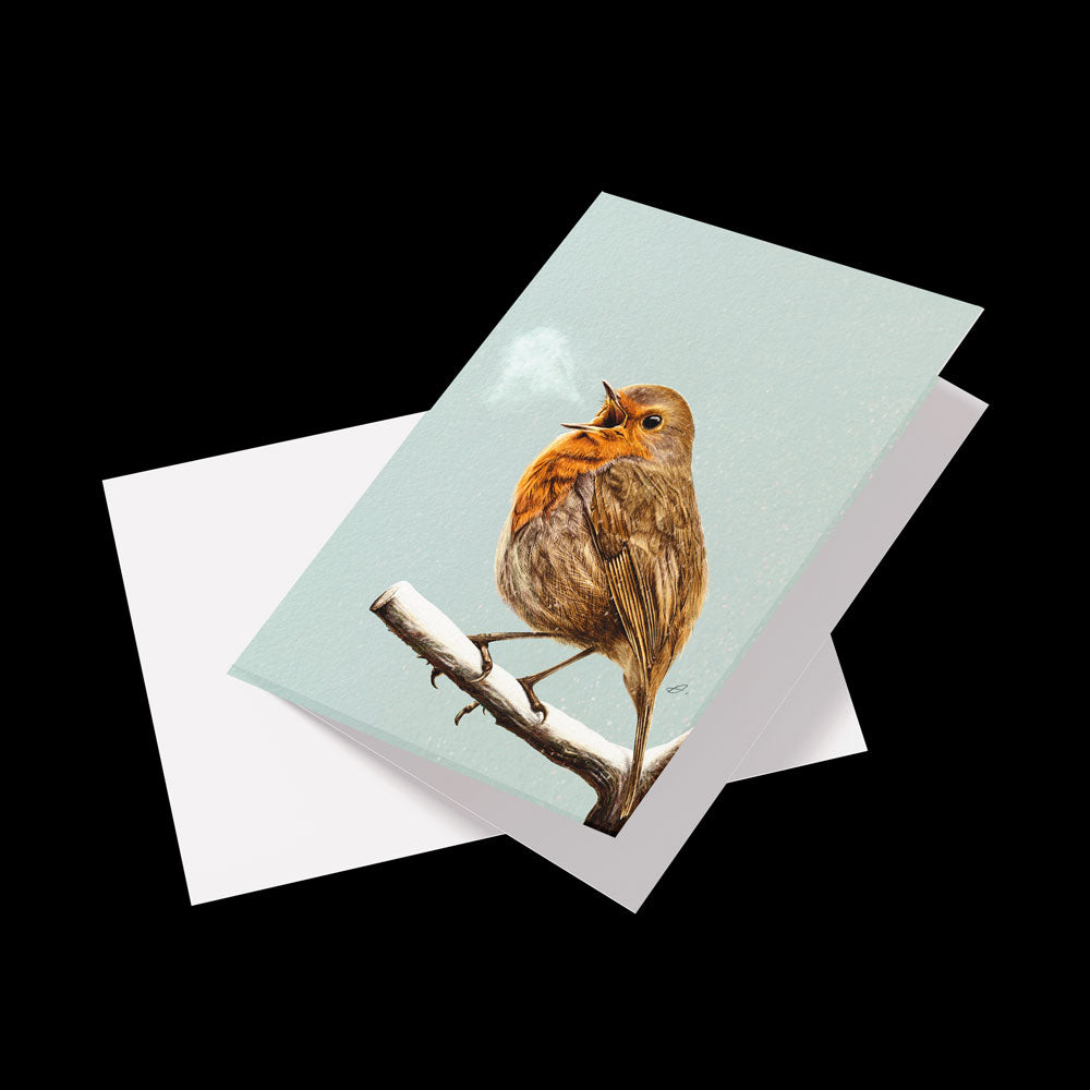 Winter Birds Greeting Cards (pack of 6 ) - Danny Branscombe