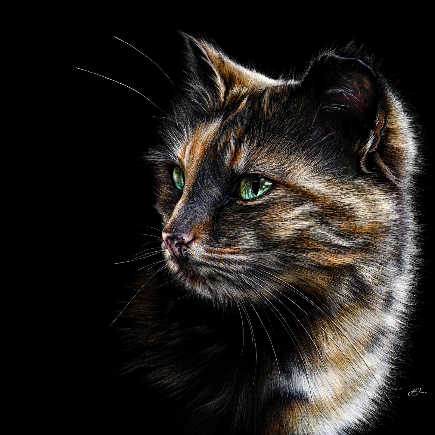 Cats - Vincent - Danny Branscombe