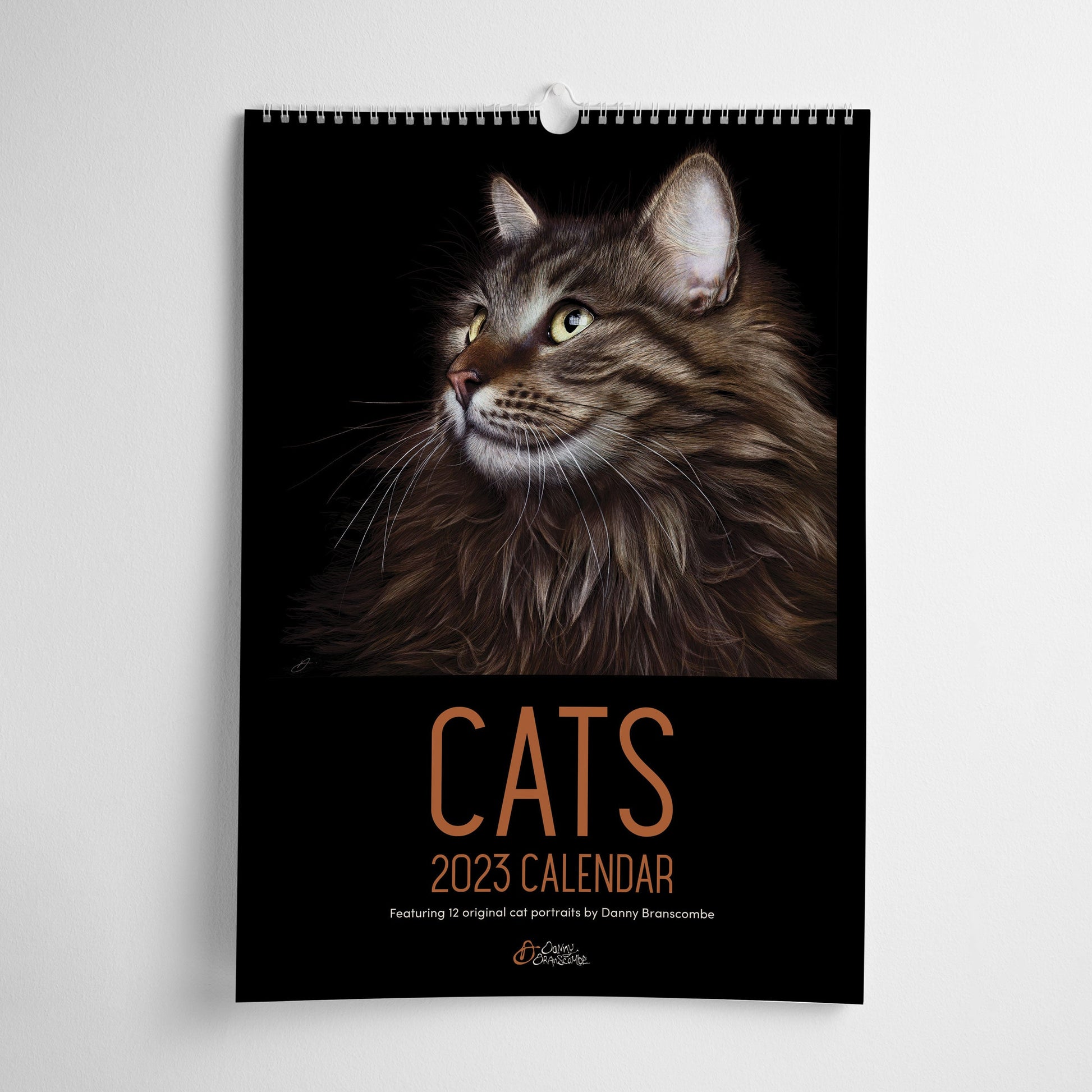 Cat Calendar 2023 - Danny Branscombe