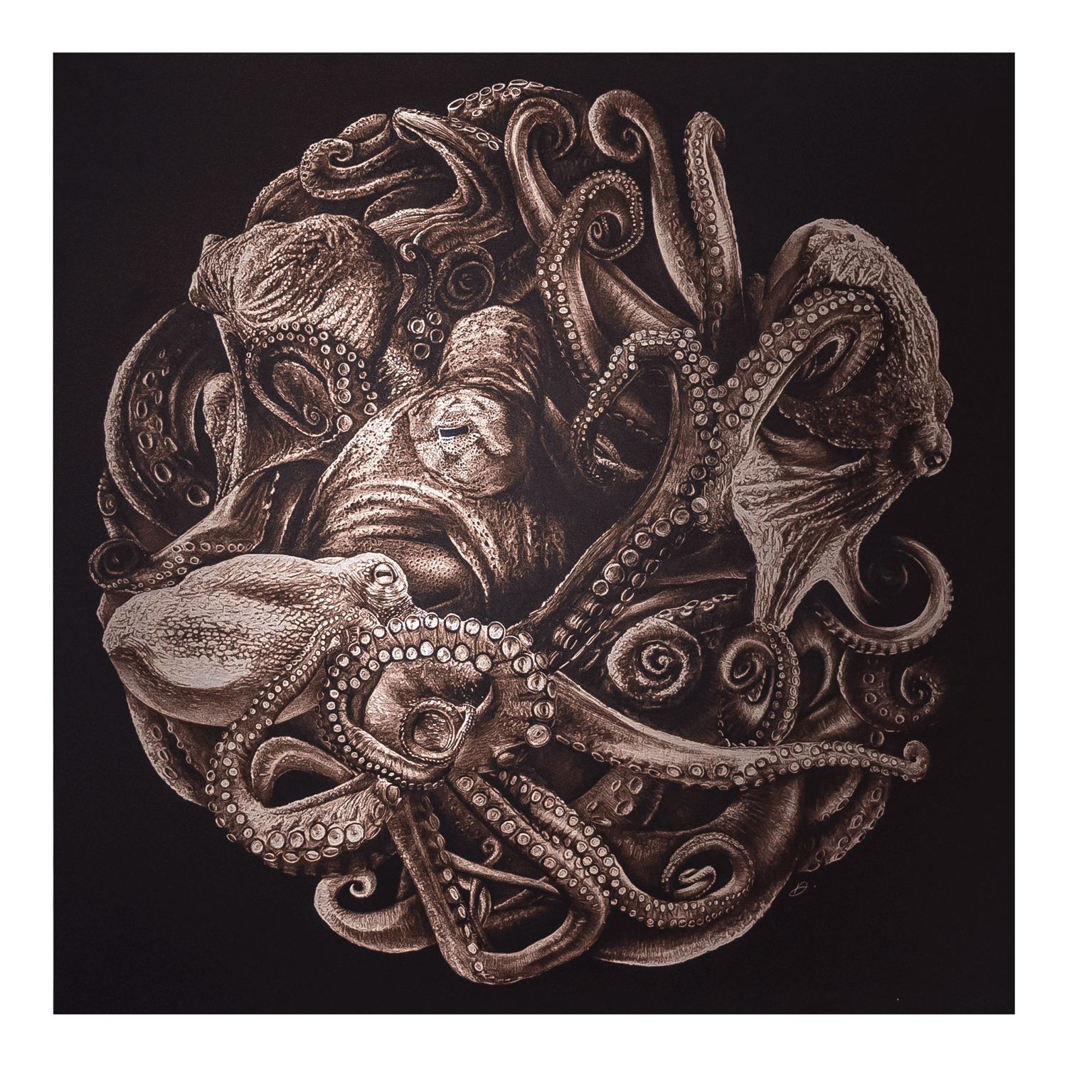 METAL Octopus Planet - LIMITED EDITION METAL PRINT (1 of 3) - Danny Branscombe