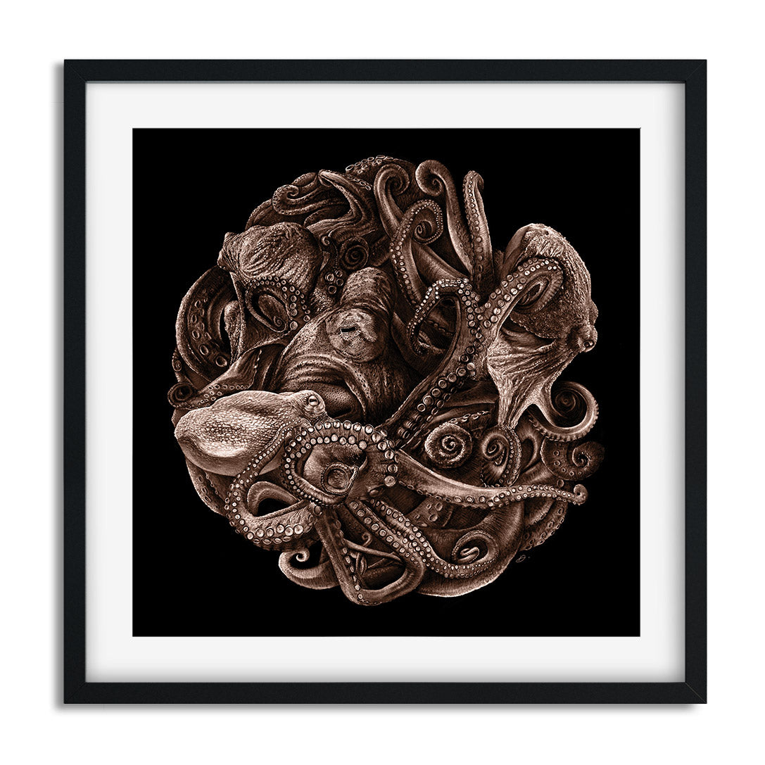 Octopus Planet - Danny Branscombe