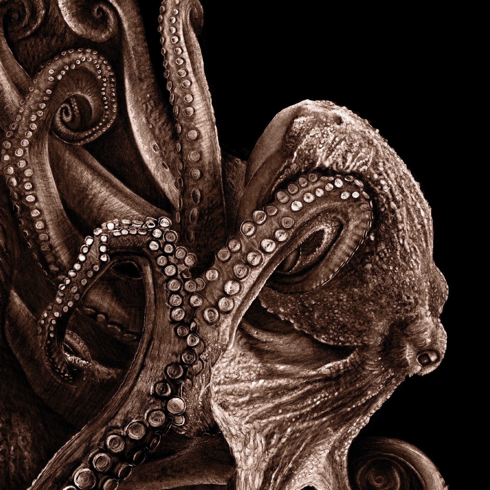 Octopus Planet - Danny Branscombe