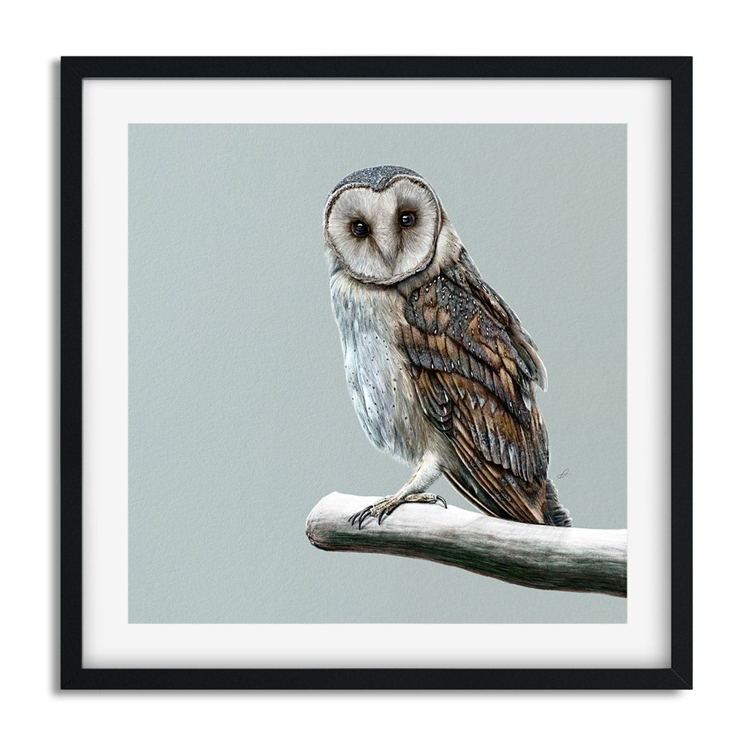 Winter Birds - Owl - Danny Branscombe