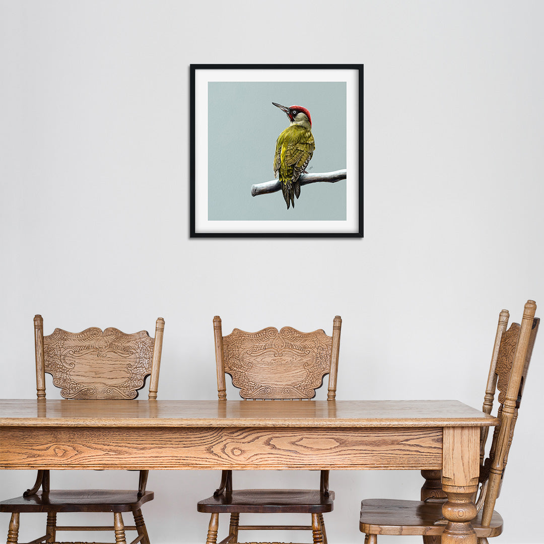 Winter Birds - Woodpecker - Danny Branscombe