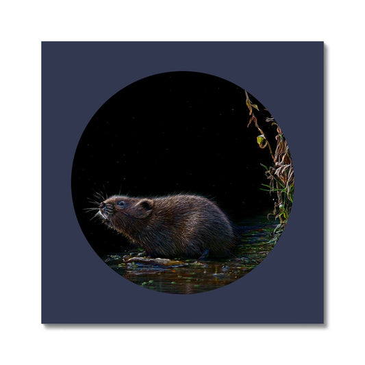 March for Joy 14 / Water Vole